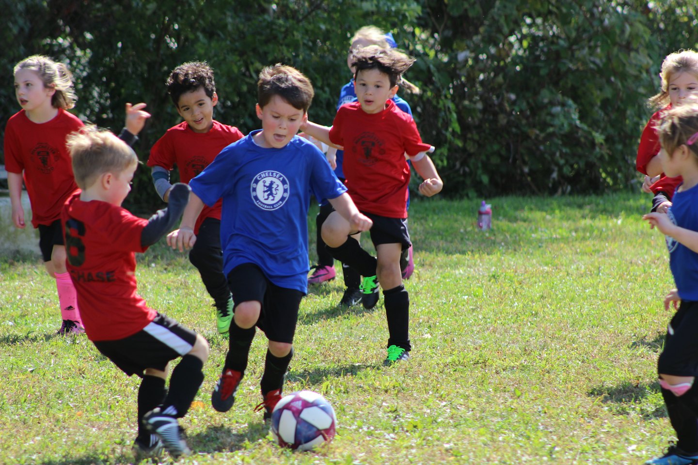 Children playing soccer on a sunny grassy field.